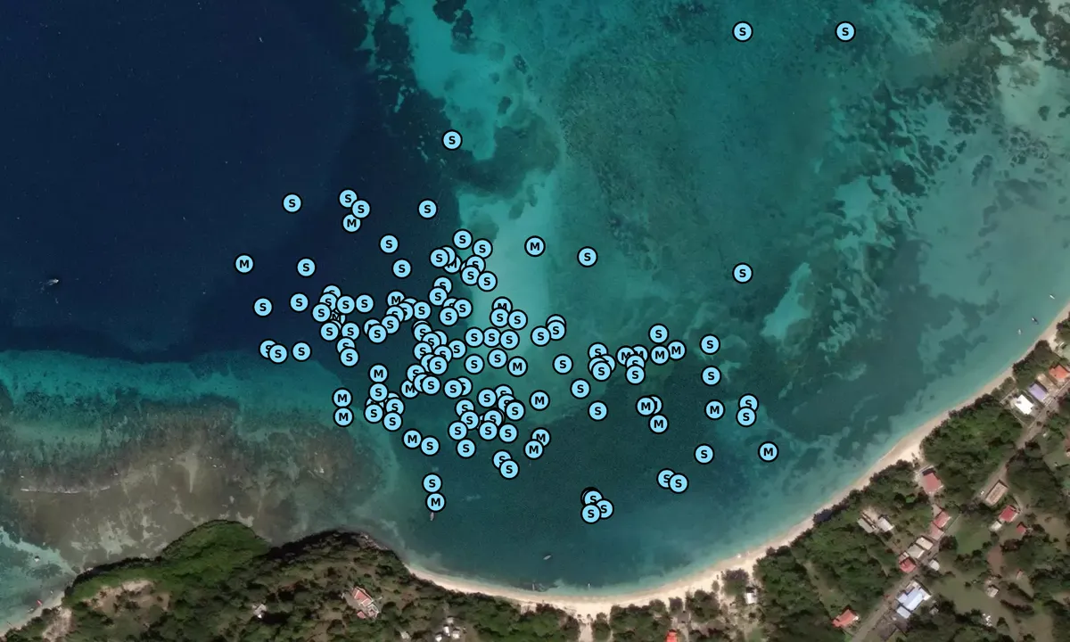 Satelite image of L'Esterre Bay