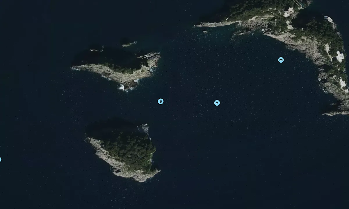 Satelite image of Li Galli Islands