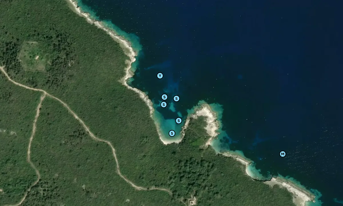 Satelite image of Lighthouse Bay