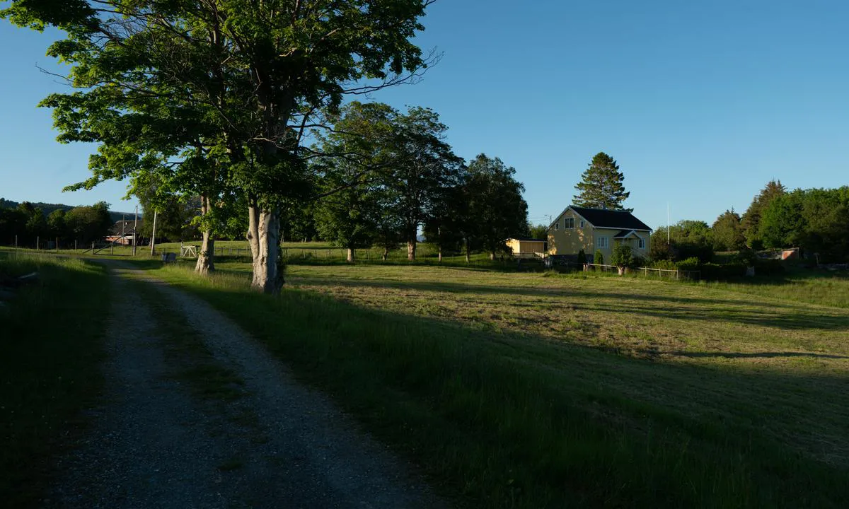 Lille Kalvøy
