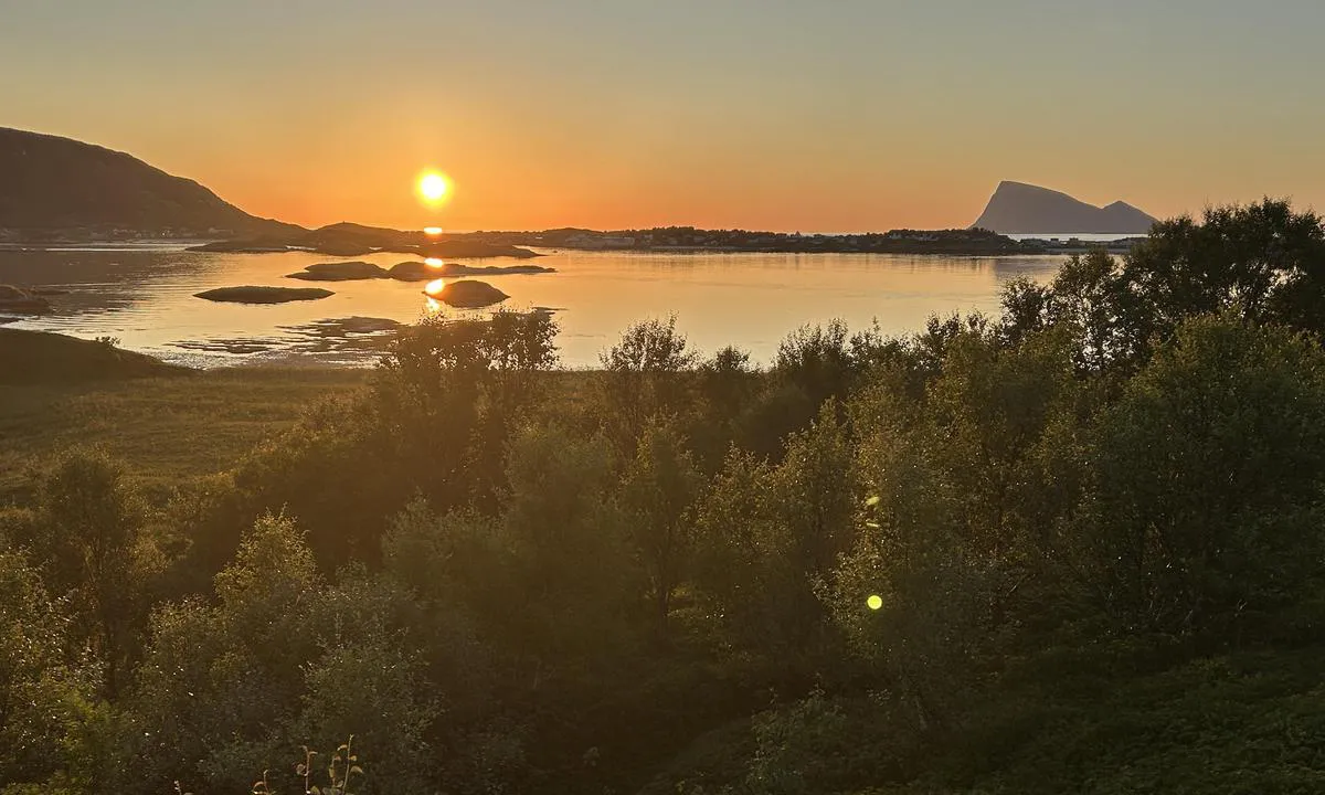 Lille sommarøy: {"base": "no", "no": "Fra \u00f8ya mot NN\u00d8", "se": "Fr\u00e5n \u00f6n mot NNO", "en": "From the island towards NNE", "da": "Fra \u00f8en mod NN\u00d8", "fr": "Depuis l'\u00eele vers NORNE", "de": "Von der Insel nach NNO", "es": "Desde la isla hacia NNE", "it": "Dall'isola verso NNE", "pt": "Da ilha para NNE", "nl": "Vanaf het eiland richting NO", "pl": "Od wyspy w kierunku NNE", "uk": "\u0412\u0456\u0434 \u043e\u0441\u0442\u0440\u043e\u0432\u0430 \u043d\u0430 \u041f\u041d\u041f\u0421", "ro": "De la insul\u0103 \u00een direc\u021bia NNE", "tr": "Adadan KKD'ya do\u011fru", "el": "\u0391\u03c0\u03cc \u03c4\u03bf \u03bd\u03b7\u03c3\u03af \u03c0\u03c1\u03bf\u03c2 \u0392\u0392\u0391", "cs": "Od ostrova sm\u011brem na NNE", "hu": "Az \u00e9szak-\u00e9szakkeleti sziget fel\u0151l", "fi": "Saarelta kohti NNE", "bg": "\u041e\u0442 \u043e\u0441\u0442\u0440\u043e\u0432\u0430 \u043a\u044a\u043c \u0421\u0421\u0418", "sr": "Sa ostrva prema SI", "et": "Saarest KNE suunas", "lv": "No salas virzien\u0101 uz ZZA", "lt": "Nuo salos \u012f \u0160\u0160R"}