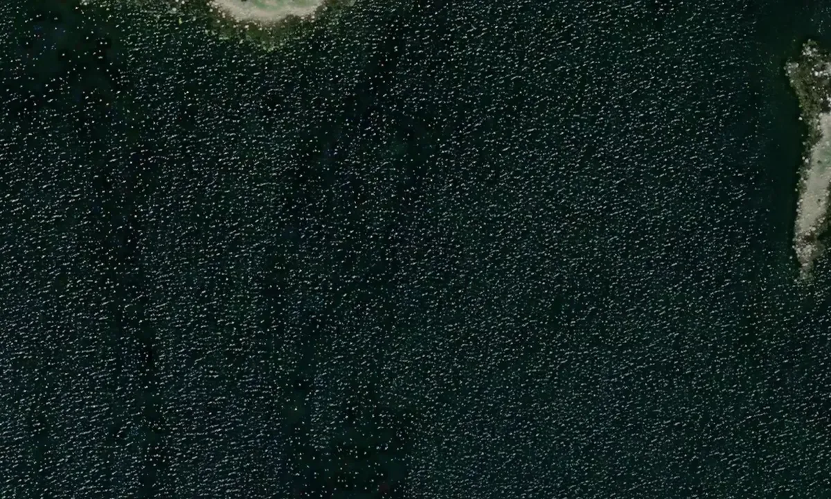 Satelite image of Lindö