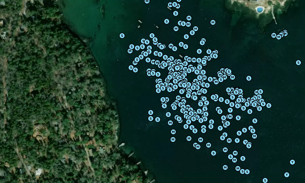 Satelite image of Linekin Bay