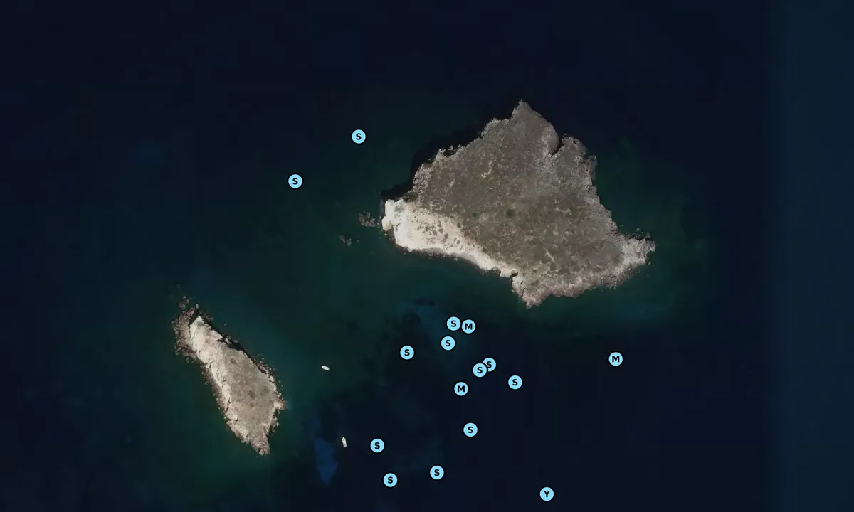 Satelite image of Lisca Bianca