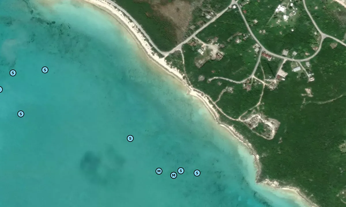 Satelite image of Little Farmers (West)