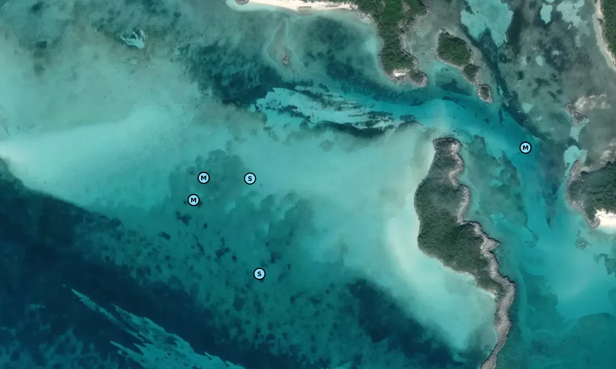 Satelite image of Little Harbor Cay