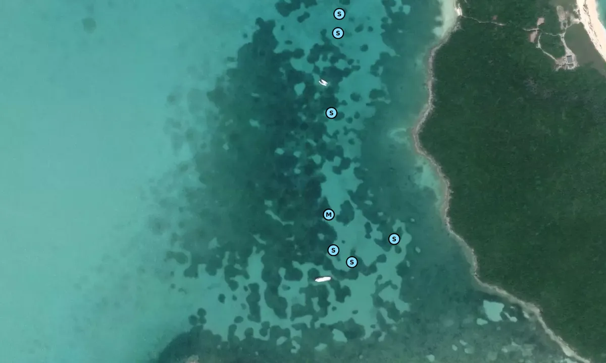 Satelite image of Little Harbour 1
