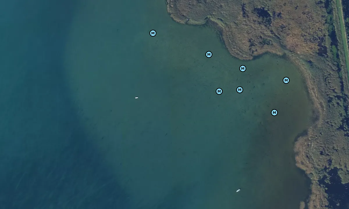 Flyfoto av Little Muscamoot Bay