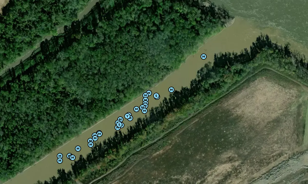 Satelite image of Little River Diversion Canal