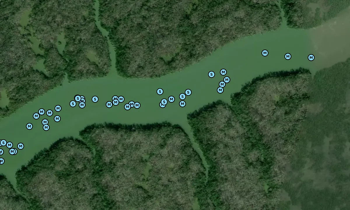 Satelite image of Little Shark River - 1