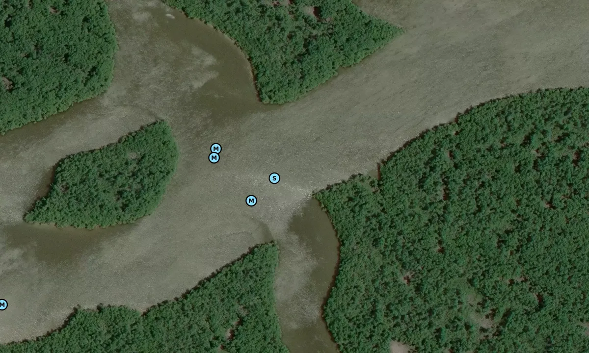 Satelite image of Little Shark River - 2