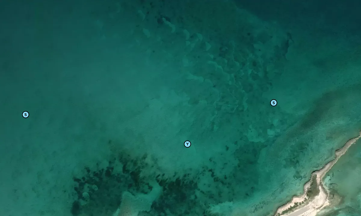 Satelite image of Little Whale Cay