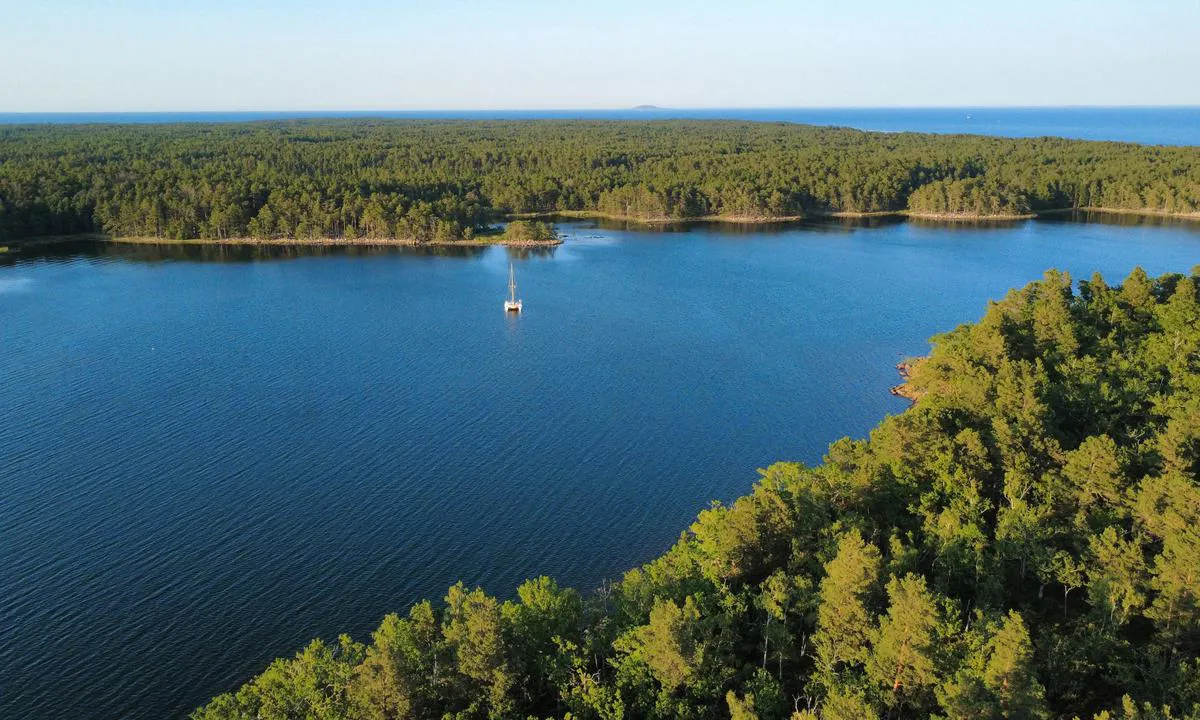 Littlösund: {"base": "no", "no": "Bilde tatt fra Littl\u00f6 side. God le av tre p\u00e5 begge sider av sundet.", "se": "Bild tagen fr\u00e5n Littl\u00f6-sidan. Bra l\u00e4 fr\u00e5n tr\u00e4d p\u00e5 b\u00e5da sidor av sundet.", "en": "Picture taken from the Littl\u00f6 side. Good shelter from trees on both sides of the strait.", "da": "Billede taget fra Littl\u00f6 side. Godt l\u00e6 for tr\u00e6 p\u00e5 begge sider af sundet.", "fr": "Photo prise du c\u00f4t\u00e9 de Littl\u00f6. Bonne protection gr\u00e2ce aux arbres de chaque c\u00f4t\u00e9 du d\u00e9troit.", "de": "Bild von der Littl\u00f6-Seite aufgenommen. Guter Schutz durch B\u00e4ume auf beiden Seiten der Meerenge.", "es": "Foto tomado desde el lado de Littl\u00f6. Buen resguardo proporcionado por los \u00e1rboles en ambos lados del estrecho.", "it": "Foto scattata dal lato di Littl\u00f6. Buon riparo dagli alberi su entrambi i lati dello stretto.", "pt": "Imagem tirada do lado Littl\u00f6. Bom abrigo de \u00e1rvores em ambos os lados do estreito.", "nl": "Foto genomen vanaf de Littl\u00f6 kant. Goede beschutting door bomen aan beide zijden van de zeestraat.", "pl": "Zdj\u0119cie zrobione od strony Littl\u00f6. Dobre schronienie od wiatru dzi\u0119ki drzewom po obu stronach cie\u015bniny.", "uk": "\u0417\u043e\u0431\u0440\u0430\u0436\u0435\u043d\u043d\u044f \u0437\u043d\u044f\u0442\u043e \u0437 \u0431\u043e\u043a\u0443 \u041b\u0456\u0442\u0442\u043b\u043e. \u0425\u043e\u0440\u043e\u0448\u0438\u0439 \u0437\u0430\u0445\u0438\u0441\u0442 \u0432\u0456\u0434 \u0432\u0456\u0442\u0440\u0443 \u0447\u0435\u0440\u0435\u0437 \u0434\u0435\u0440\u0435\u0432\u0430 \u0437 \u043e\u0431\u043e\u0445 \u0431\u043e\u043a\u0456\u0432 \u043f\u0440\u043e\u0442\u043e\u043a\u0438.", "ro": "Imaginea realizat\u0103 de pe partea Littl\u00f6. Protec\u021bie bun\u0103 oferit\u0103 de copaci pe ambele p\u0103r\u021bi ale str\u00e2mtorii.", "tr": "Bilde Littl\u00f6 taraf\u0131ndan \u00e7ekildi. Bo\u011faz\u0131n her iki taraf\u0131ndan iyi bir r\u00fczgar k\u0131r\u0131c\u0131 etkisi sa\u011flayan a\u011fa\u00e7lar.", "el": "\u0397 \u03b5\u03b9\u03ba\u03cc\u03bd\u03b1 \u03c4\u03c1\u03b1\u03b2\u03ae\u03c7\u03c4\u03b7\u03ba\u03b5 \u03b1\u03c0\u03cc \u03c4\u03b7\u03bd \u03c0\u03bb\u03b5\u03c5\u03c1\u03ac \u03c4\u03bf\u03c5 Littl\u00f6. \u039a\u03b1\u03bb\u03ae \u03c0\u03c1\u03bf\u03c3\u03c4\u03b1\u03c3\u03af\u03b1 \u03b1\u03c0\u03cc \u03c4\u03bf\u03c5\u03c2 \u03b1\u03bd\u03ad\u03bc\u03bf\u03c5\u03c2 \u03ba\u03b1\u03b9 \u03c3\u03c4\u03b9\u03c2 \u03b4\u03cd\u03bf \u03c0\u03bb\u03b5\u03c5\u03c1\u03ad\u03c2 \u03c4\u03bf\u03c5 \u03c3\u03c4\u03b5\u03bd\u03bf\u03cd.", "cs": "Fotografie po\u0159\u00edzen\u00e1 ze strany Littl\u00f6. Dobr\u00e9 kryt\u00ed strom\u016f na obou stran\u00e1ch pr\u016flivu.", "hu": "K\u00e9p a Littl\u00f6 oldal\u00e1r\u00f3l. J\u00f3 mened\u00e9k mindk\u00e9t oldalon l\u00e9v\u0151 f\u00e1kkal a szorosban.", "fi": "Kuva otettu Littl\u00f6-puolelta. Hyv\u00e4 suoja molemmin puolin salmea olevista puista.", "bg": "\u0421\u043d\u0438\u043c\u043a\u0430, \u043d\u0430\u043f\u0440\u0430\u0432\u0435\u043d\u0430 \u043e\u0442 \u0441\u0442\u0440\u0430\u043d\u0430\u0442\u0430 \u043d\u0430 Littl\u00f6. \u0414\u043e\u0431\u0440\u043e \u0443\u0431\u0435\u0436\u0438\u0449\u0435 \u043e\u0442 \u0442\u0440\u0438\u0442\u0435 \u0441\u0442\u0440\u0430\u043d\u0438 \u043d\u0430 \u0442\u0435\u0441\u043d\u0438\u043d\u0430\u0442\u0430.", "sr": "\u0421\u043b\u0438\u043a\u0430 \u0441\u043d\u0438\u043c\u0459\u0435\u043d\u0430 \u0441\u0430 \u0441\u0442\u0440\u0430\u043d\u0435 \u041b\u0438\u0442\u043b\u043e. \u0414\u043e\u0431\u0440\u0430 \u0437\u0430\u0432\u0435\u0442\u0440\u0438\u043d\u0430 \u043e\u0434 \u0434\u0440\u0432\u0435\u045b\u0430 \u0441\u0430 \u043e\u0431\u0435 \u0441\u0442\u0440\u0430\u043d\u0435 \u043f\u0440\u043e\u043b\u0430\u0437\u0430.", "et": "Pilt v\u00f5etud Littl\u00f6 k\u00fcljelt. Hea varjualune m\u00f5lemal pool v\u00e4ina puudest.", "lv": "Bilde uz\u0146emts no Littl\u00f6 puses. Labs aizv\u0113j\u0161 no kokiem ab\u0101s \u0161auruma pus\u0113s.", "lt": "Nuotrauka daryta i\u0161 Littl\u00f6 pus\u0117s. Abiejose s\u0105siaurio pus\u0117se gerai apsaugota med\u017eiais."}