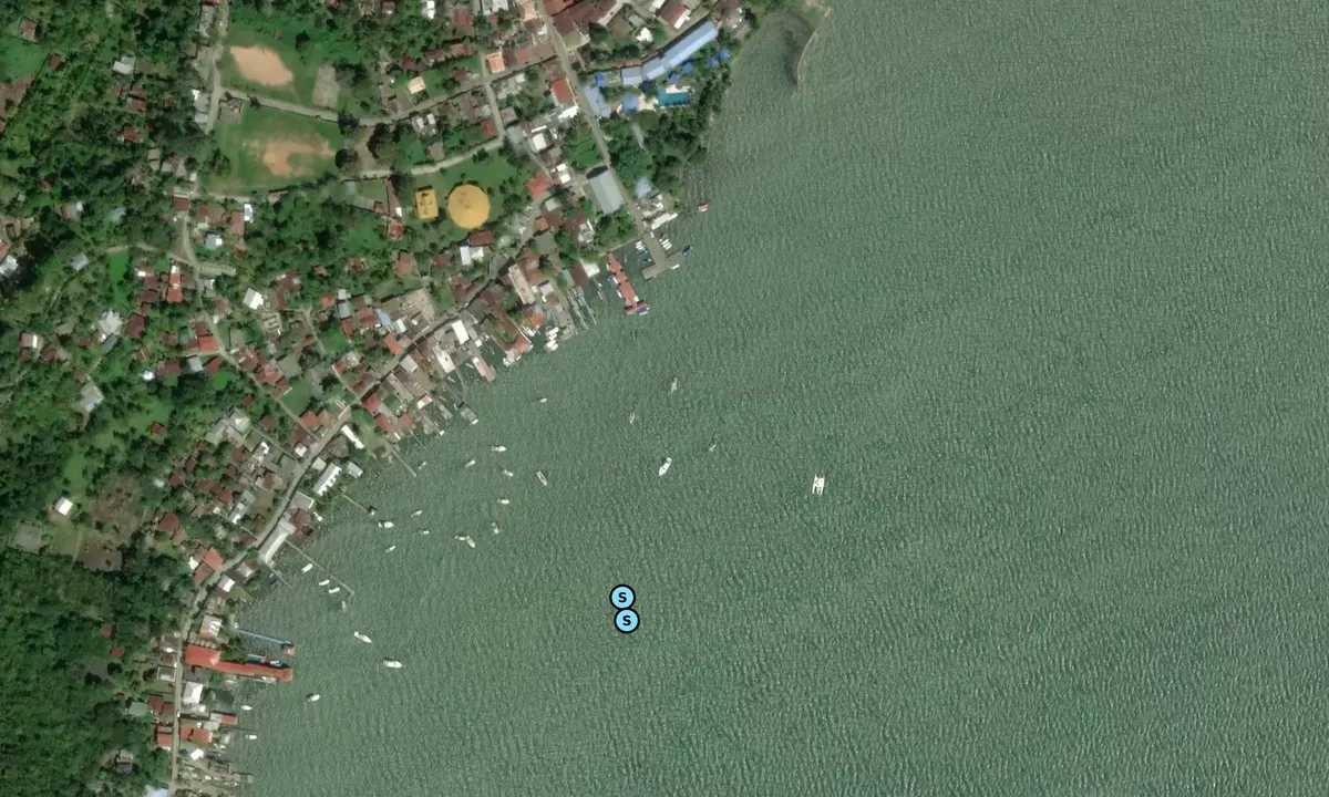 Satelite image of Livingston