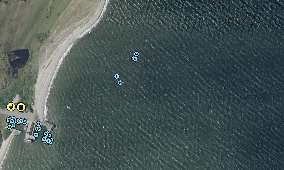 Satelite image of Livø - Ranum