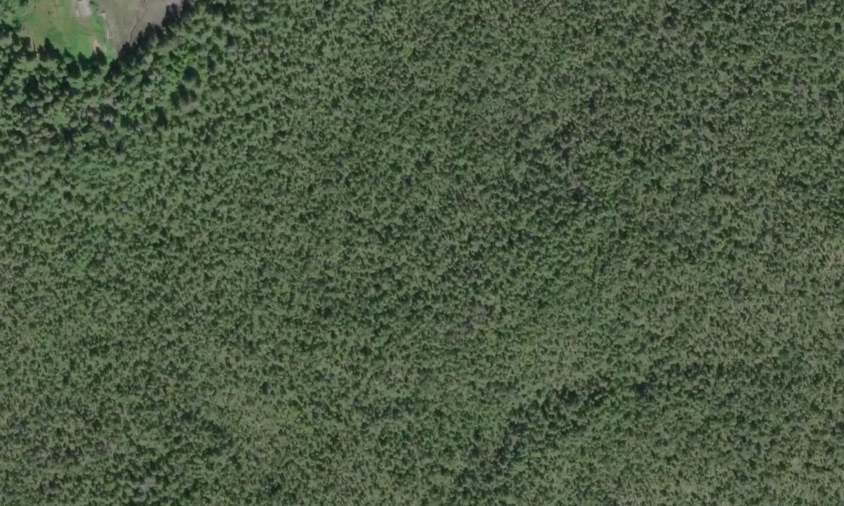Satelite image of Lizzie Cove