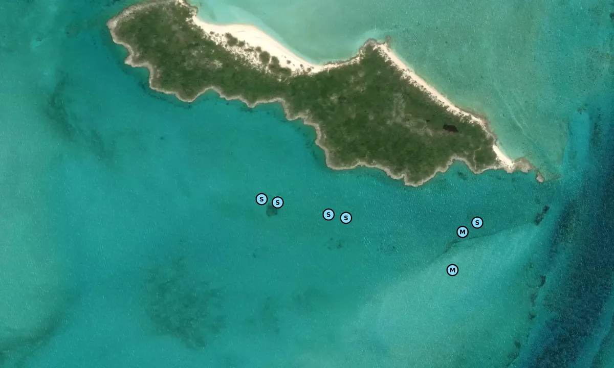 Satelite image of Lobster Cay