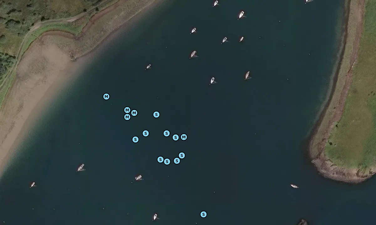 Satelite image of Loch Craignish Lagoon