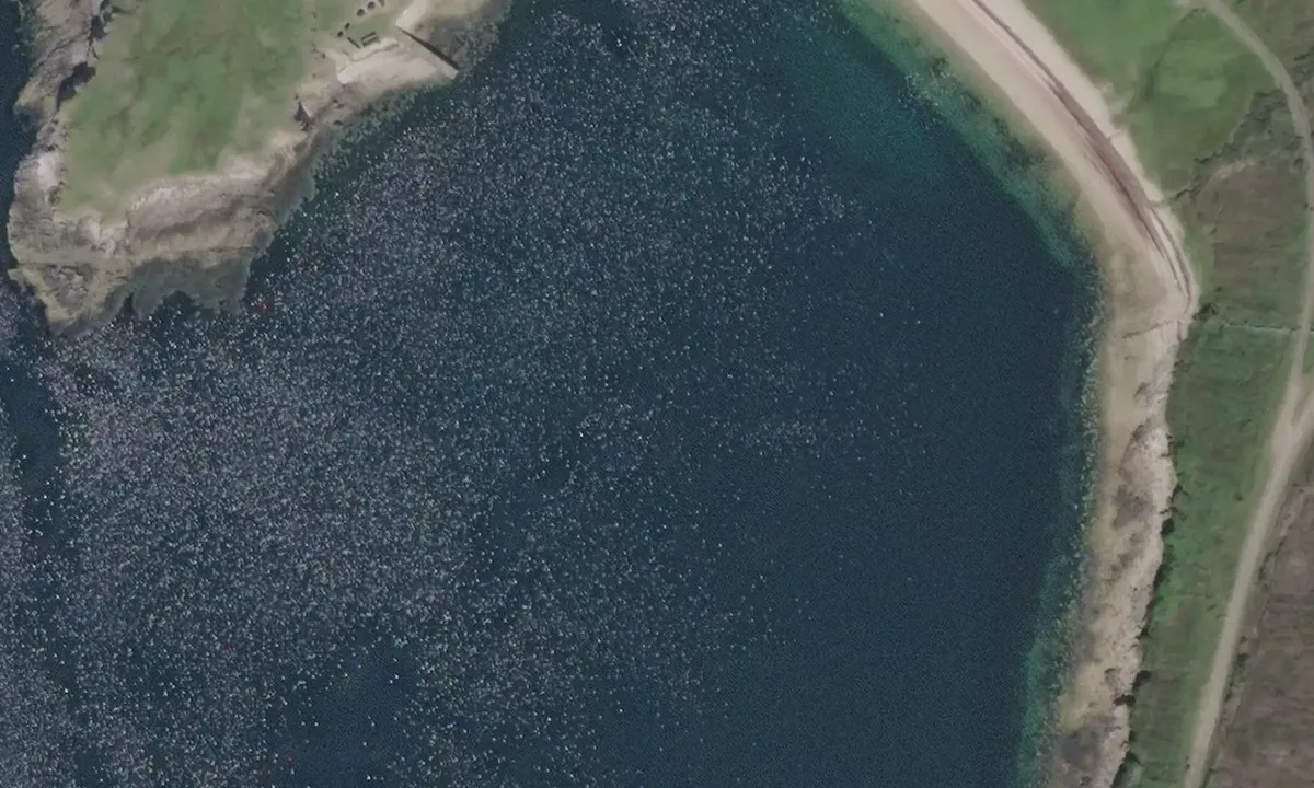 Satelite image of Loch Eriboll