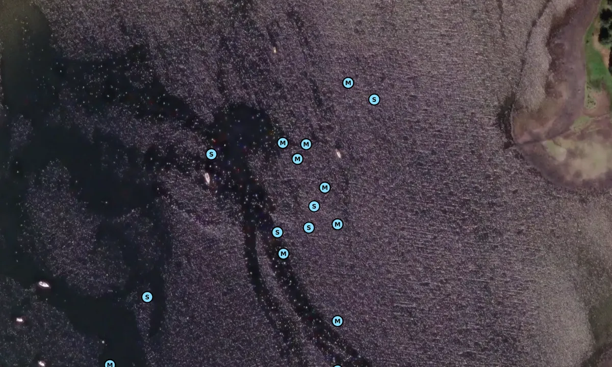 Satelite image of Loch Gair