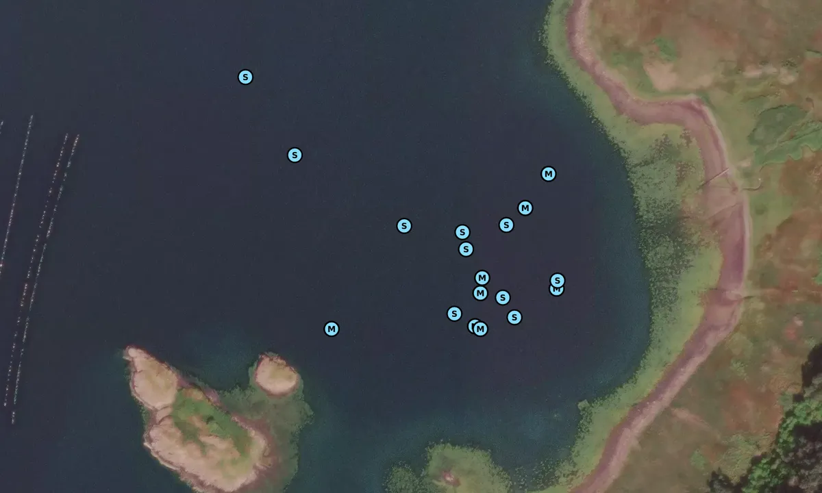 Satelite image of Loch Spelve - Eilean Amalaig