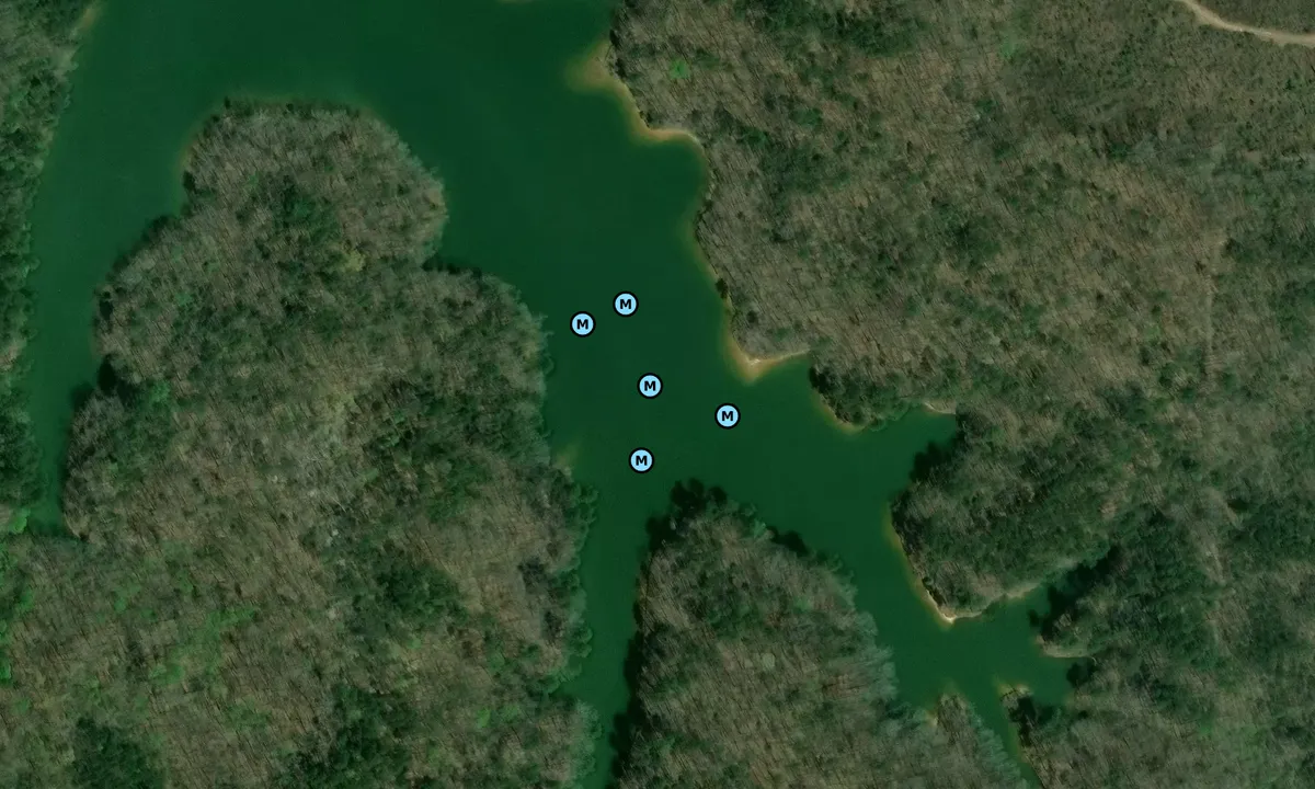 Satelite image of Lock and Dam Road
