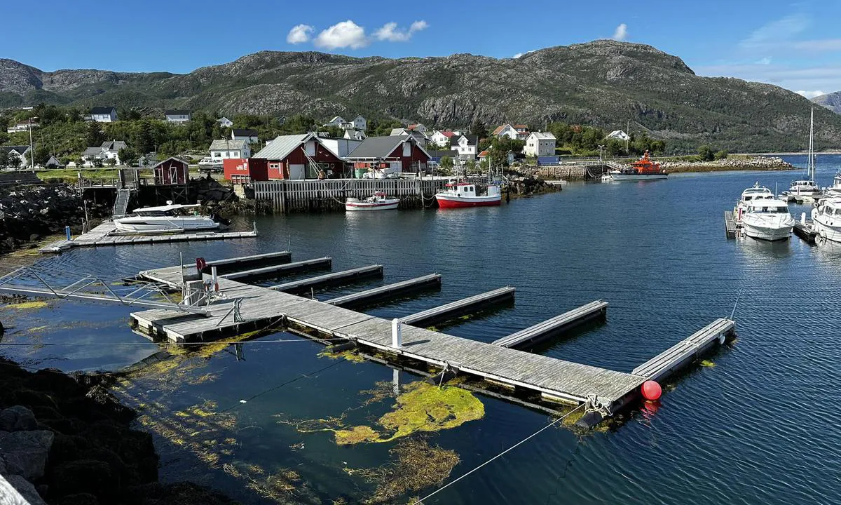 Lødingen: {"base": "no", "no": "Innerste delen av gjestehavna. Ligger fint i le bak en molo. God dybde for seilb\u00e5ter.", "se": "Innersta delen av g\u00e4sthamnen. Ligger fint i l\u00e4 bakom en v\u00e5gbrytare. Bra djup f\u00f6r segelb\u00e5tar.", "en": "Innermost part of the guest harbor. Nicely sheltered behind a breakwater. Good depth for sailboats.", "da": "Inderste del af g\u00e6stehavnen. Ligger fint i l\u00e6 bag en mole. God dybde for sejlb\u00e5de."}
