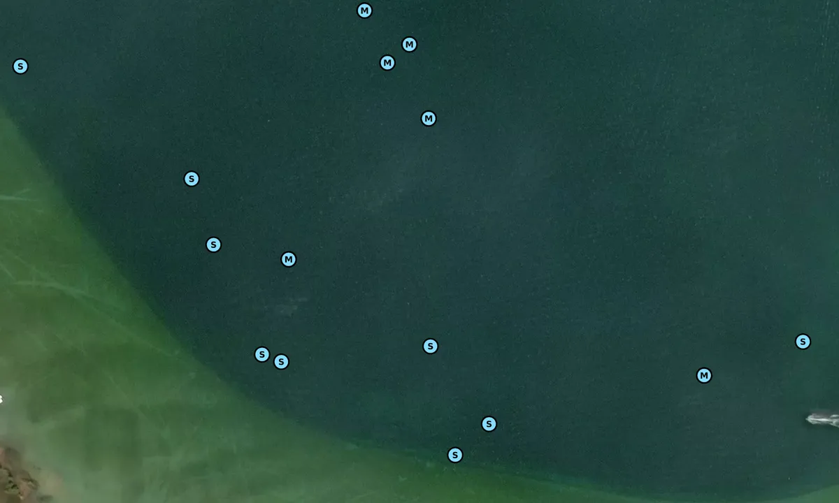 Satelite image of Loeb Bay