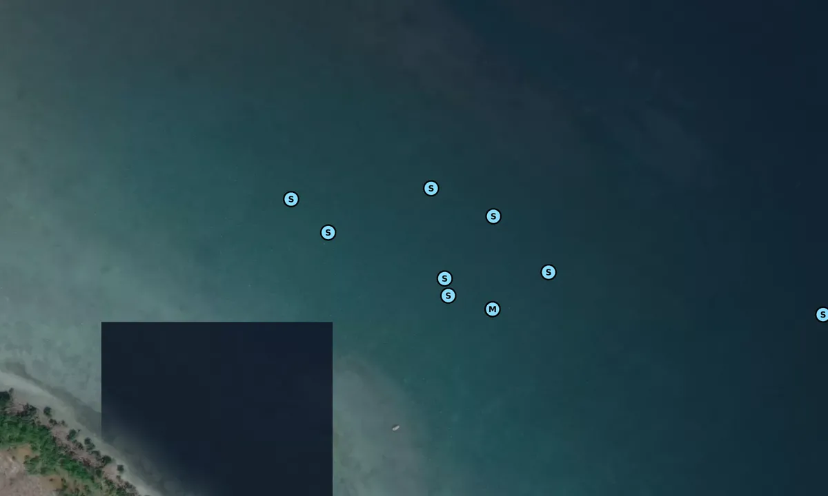 Satelite image of Loggerhead NE