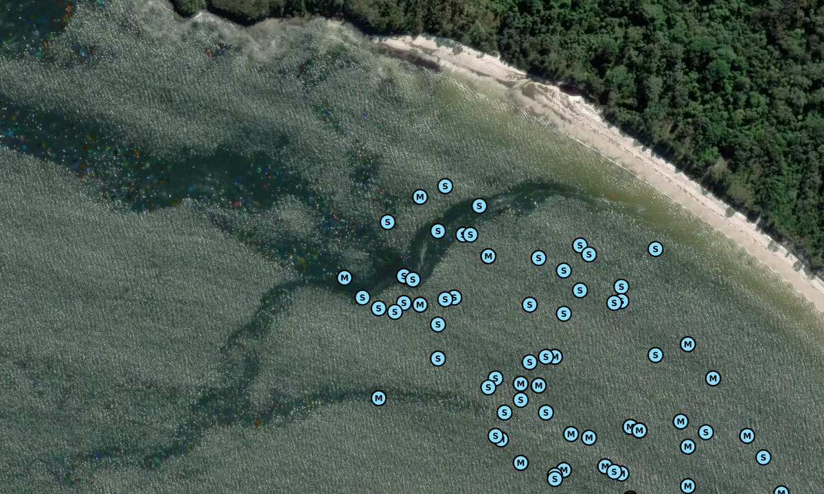 Satelite image of Long Beach 1