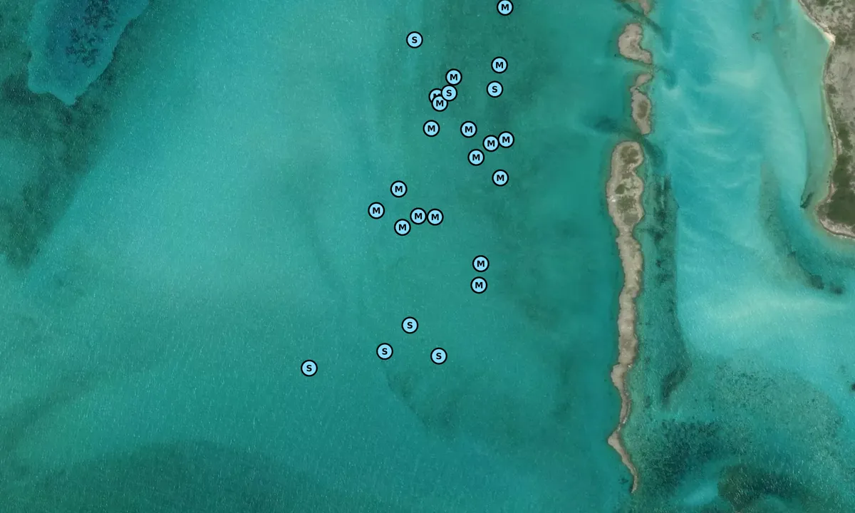 Satelite image of Long Cay SW