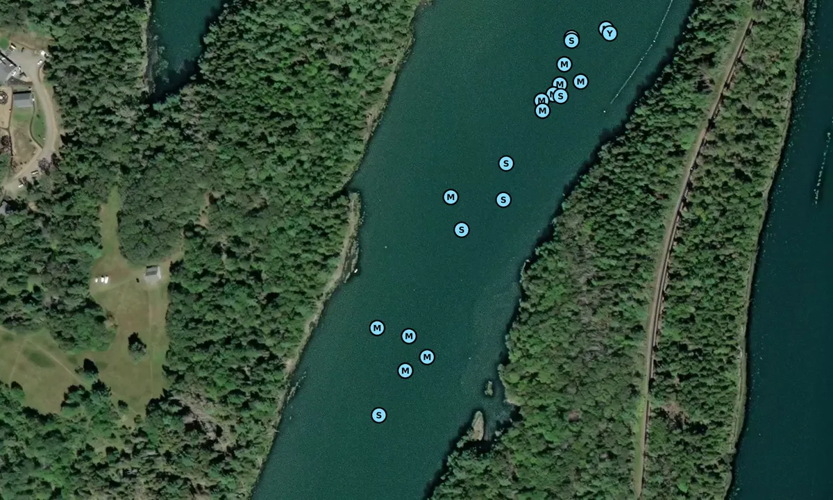 Satelite image of Long Cove
