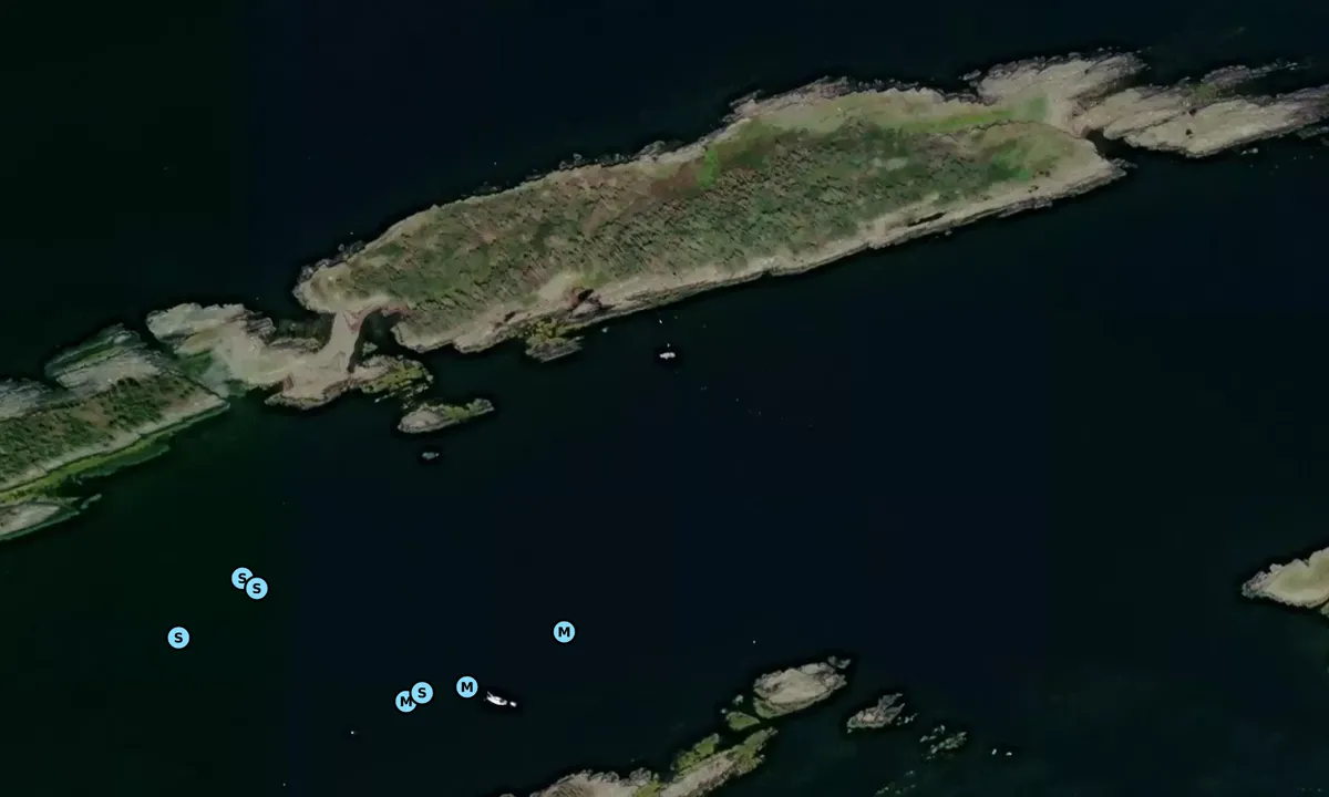 Satelite image of Long Island