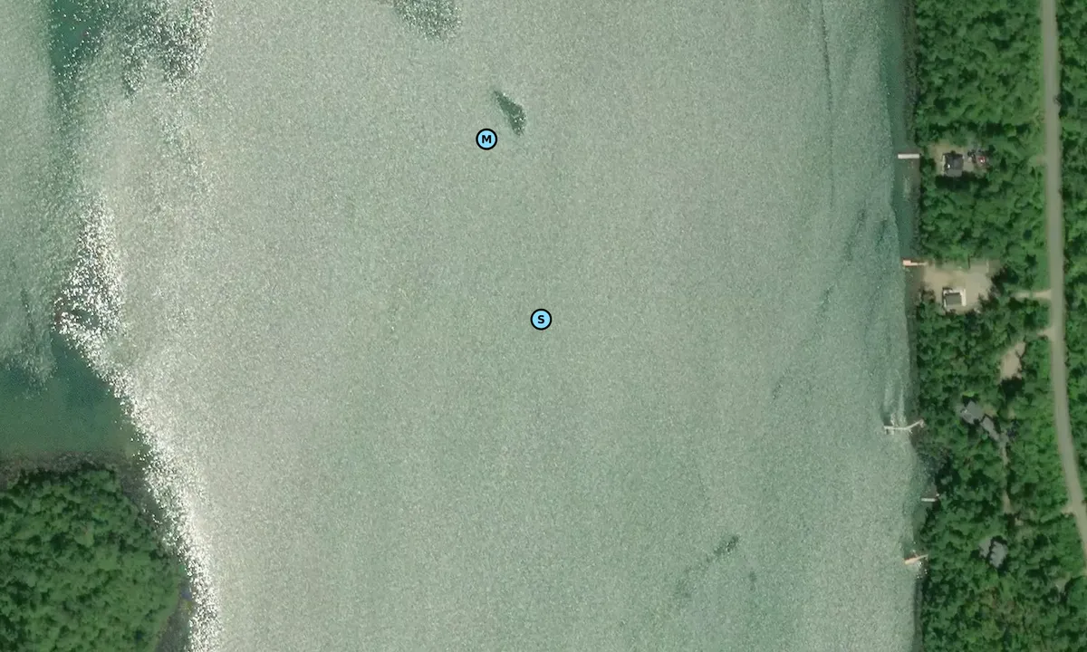 Satelite image of Long Point Cove - Echo Bay