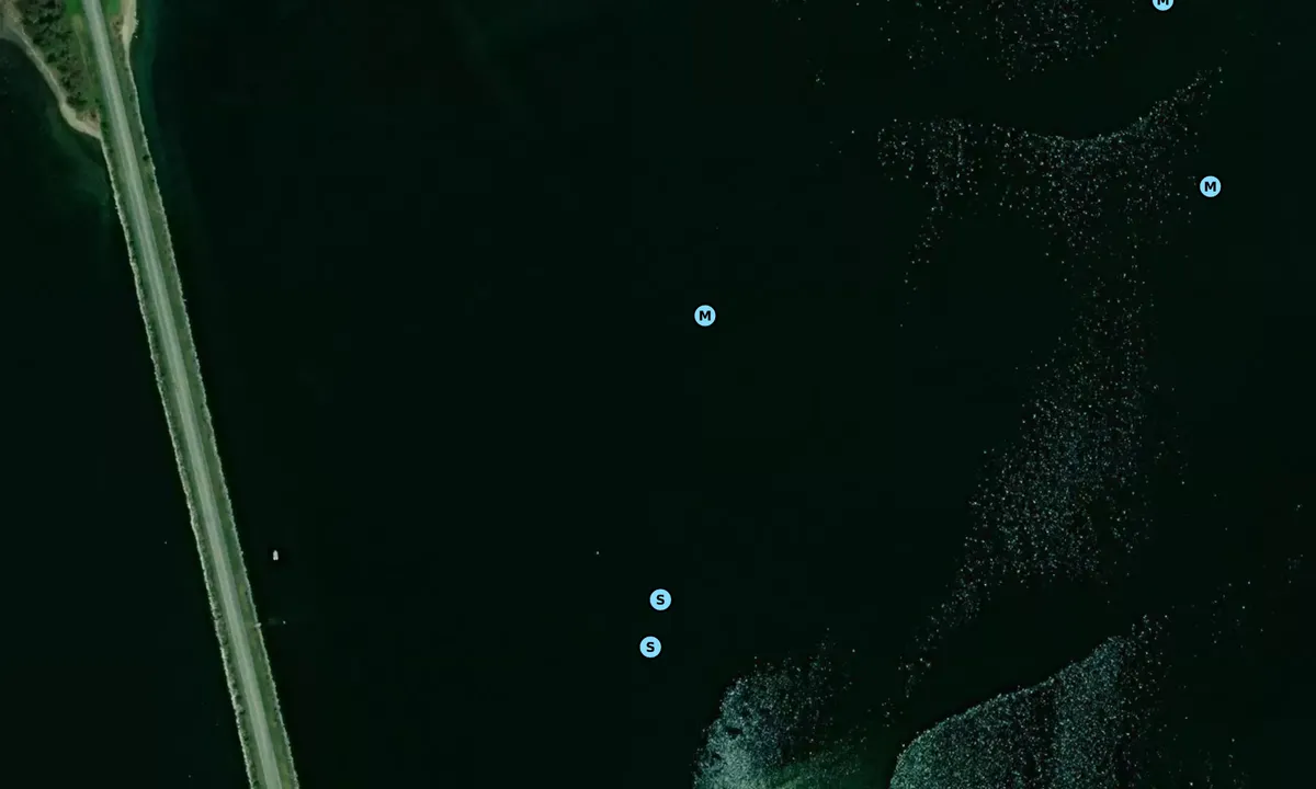 Satelite image of Long Sault