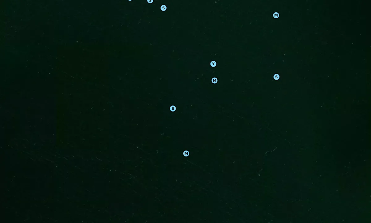 Satelite image of Long Shoal River