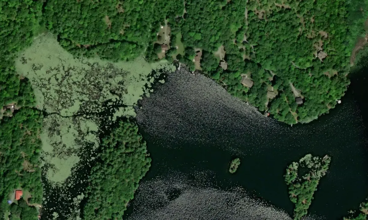 Satelite image of Loon Lake