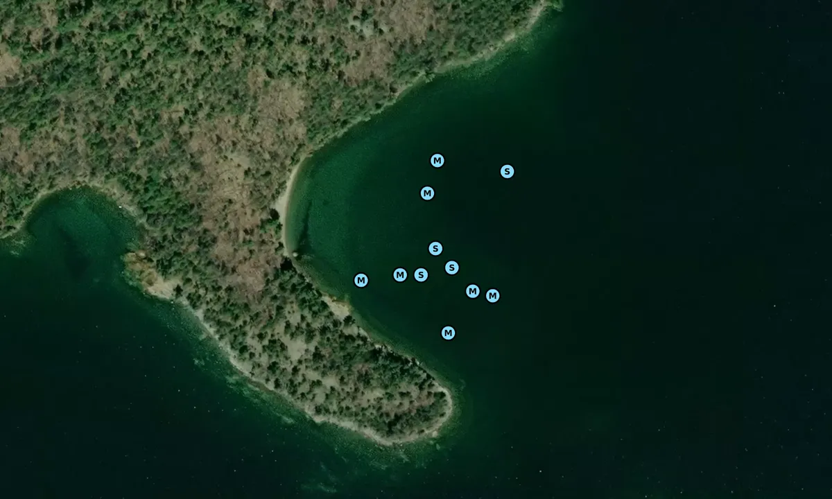 Satelite image of Louisa Is