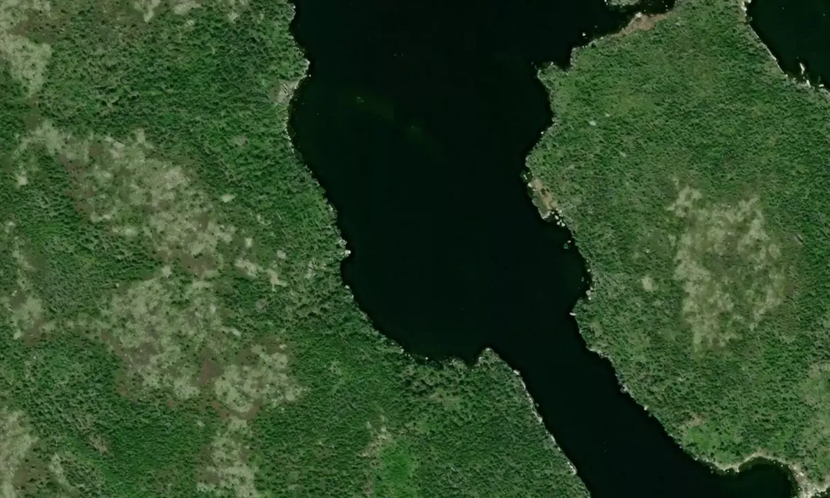 Satelite image of Louse Harbour - 1