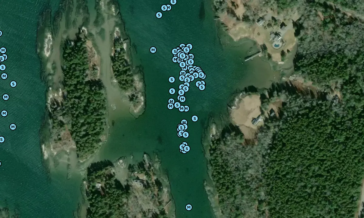 Satelite image of Love Cove