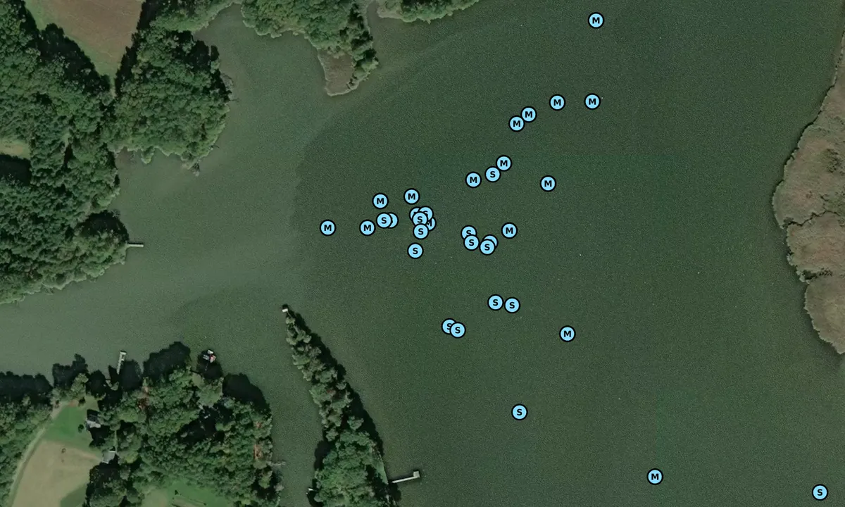Satelite image of Lovely Cove
