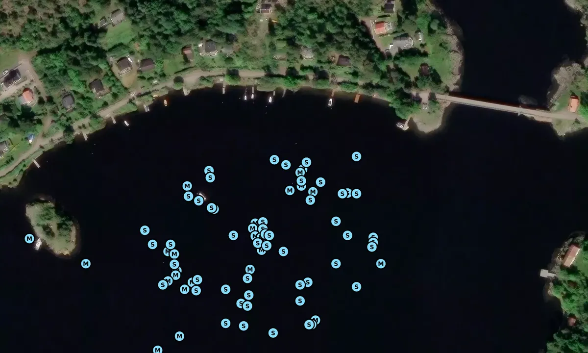 Satelite image of Løvøya