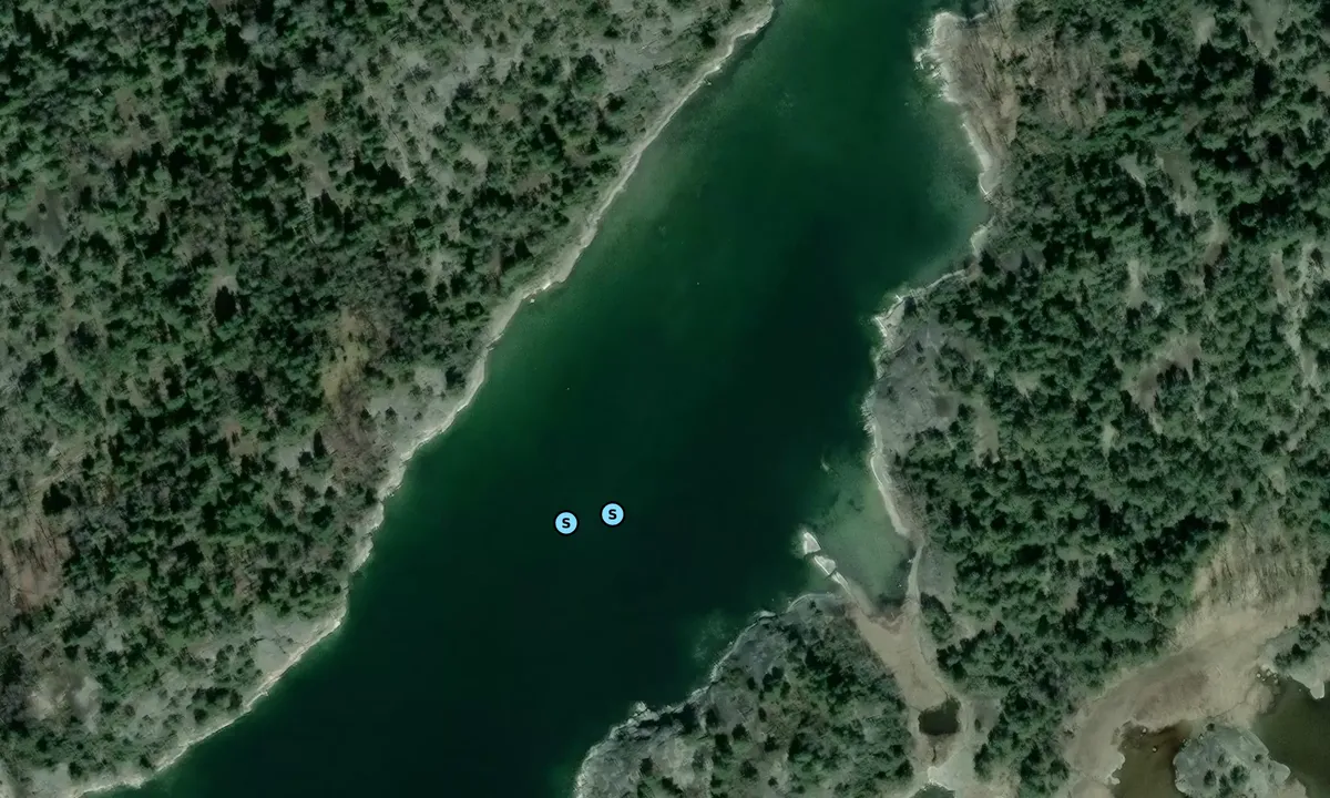 Satelite image of Lövudden