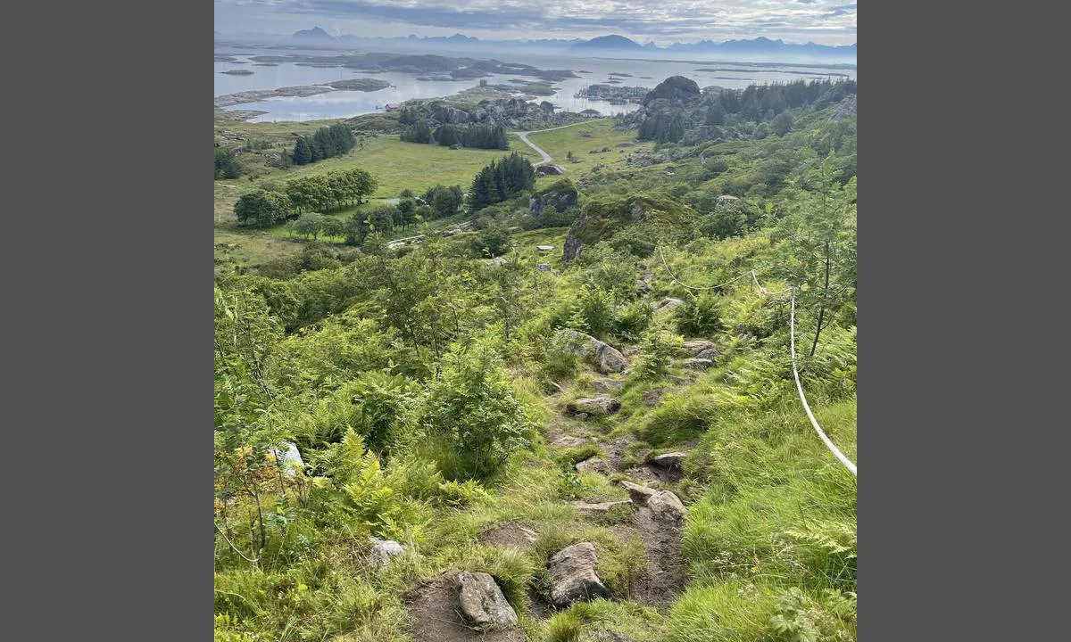 Lovund Gjestehavn: Stien opp til Lundera. Ca 2 km fra gjestehavnen.