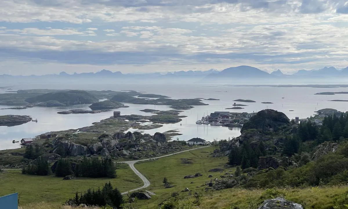 Lovund Rorbu Hotell: Oversikt over havna. Godt beskyttet mot svell fra hurtigbåt og ferger.