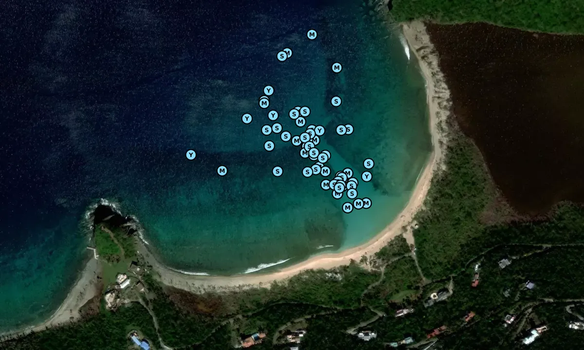Satelite image of Lower Belmont Bay