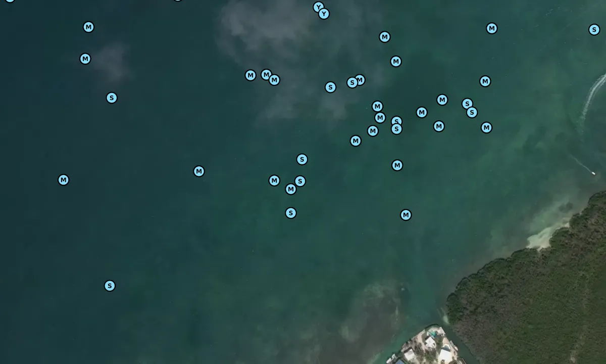 Satelite image of Lower Matecumbe Key