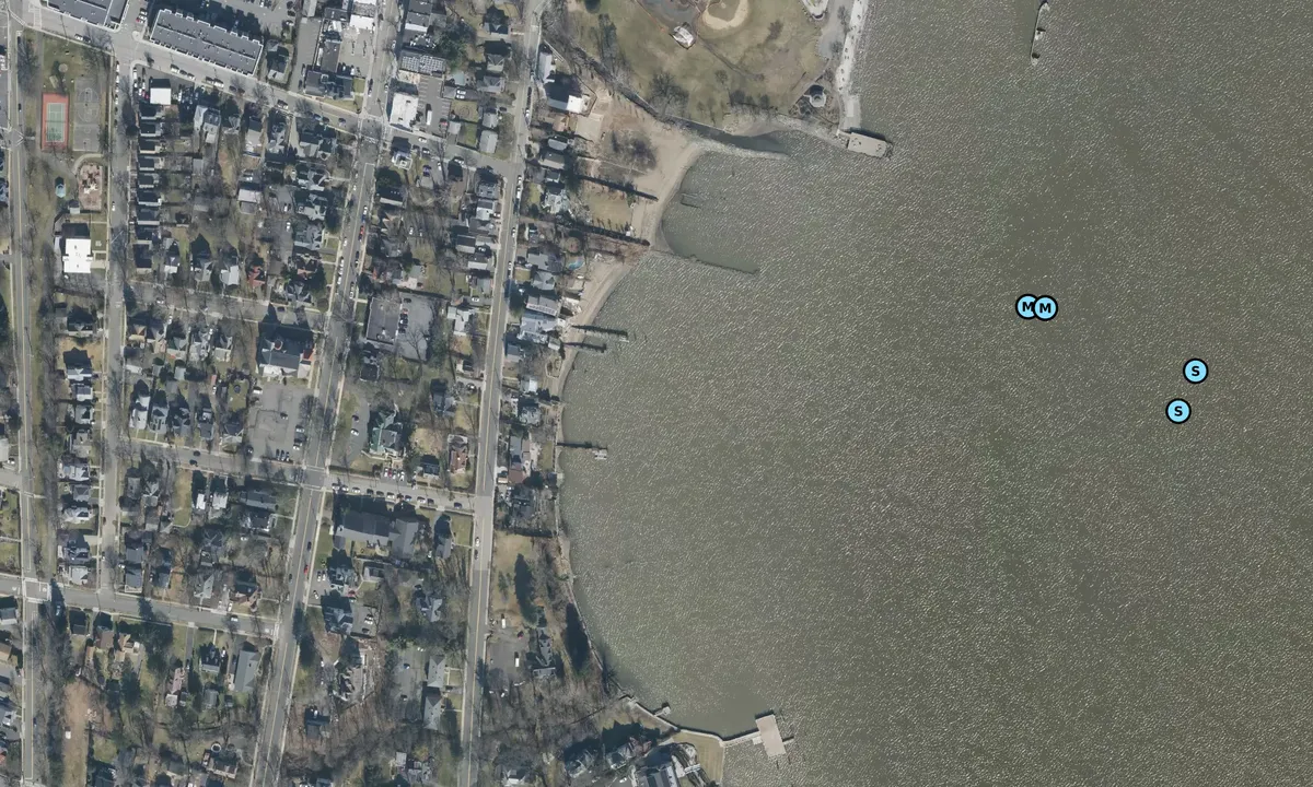 Satelite image of Lower Nyack Cove