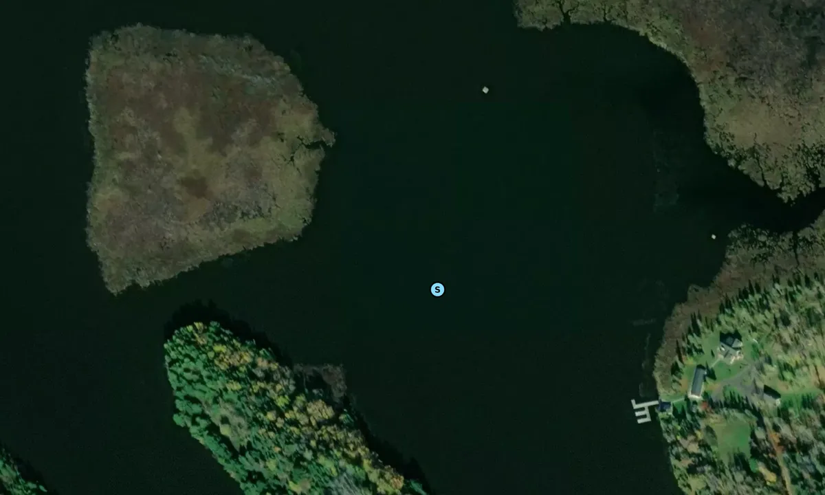 Satelite image of Lower Portage River