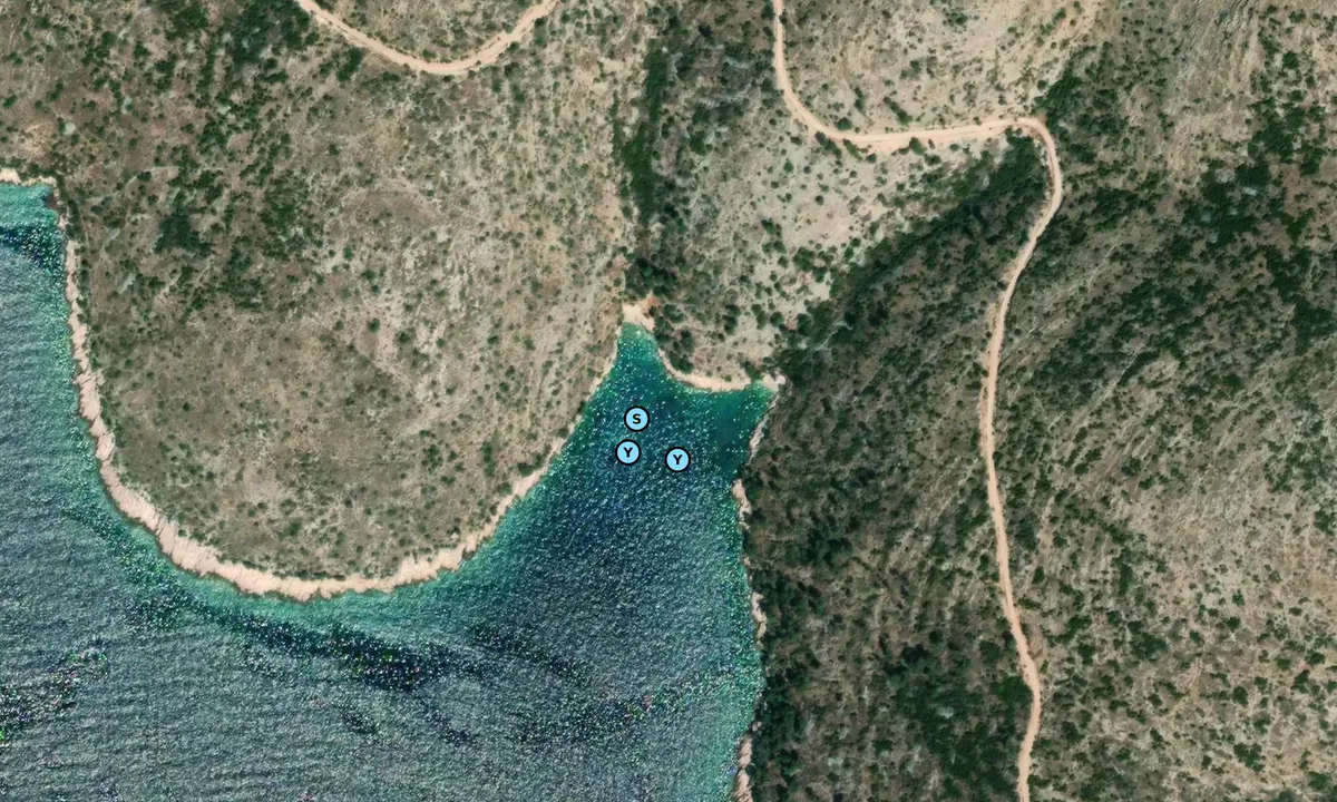 Satelite image of Lozna